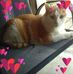 Barbara Nuttall Ormiston - Facebook