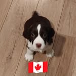 Barbara Orr - @barbara.orr.967 - Instagram