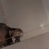 Barbara Ortega - @barbaraa.ortega - TikTok