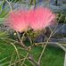 Barbara Ortmann - Facebook