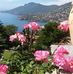 Barbara Ortmans - Facebook