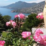 Barbara Ortmans - @barbaraortmans - Instagram