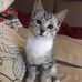 Barbara Scheuermann - Facebook