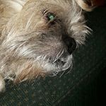 Barbara Orton - @orton.barbara - Instagram