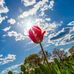Barbara Osborn - Facebook