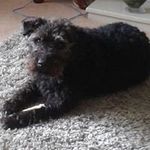 Barbara Osborn - @barbaraosborn1937 - Instagram