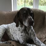 Barbara Osborn - @barbaraosborn1 - Instagram