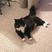 Barbara Oster - Facebook