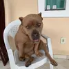 Bárbara Osternack - @barbaraosternack - TikTok