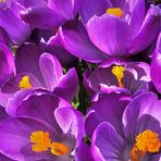 Barbara Ostermann - Facebook