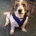 Barbara Osting - Facebook