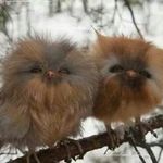 Barbara Jean Ostlund - @bjp81264 - Instagram