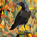Barbara Ostrander - @boa625 - Instagram
