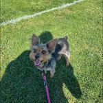 Barbara Ostrander Batzer - @barbarabatzer - Instagram