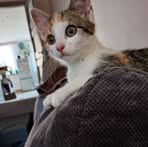 Barbara Ostrowska - Facebook