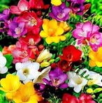 Barbara Ostrowska - Facebook