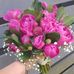 Barbara Osuch - Facebook