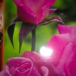Barbara Osuch - Facebook