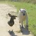 Barb Otis - Facebook