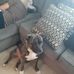 Barbara Otis - Facebook