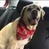 Barbara Attaway - @barbara.attaway - TikTok