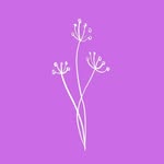 FOTOGRAFIE UND GESTALTUNG - @barbara_otterbach - Instagram