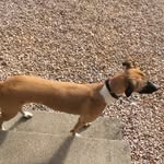 Barbara Potts - @barbara_potts55 - Instagram