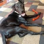 Barbara Ouellette - @tripletsrus5 - Instagram