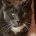 Barbara Ouellette - Facebook