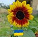 Barbara Outten - Facebook