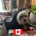 Barb Orbeck - Facebook