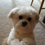 barbara overholser - @overholserbarbara - Instagram