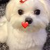 Barbara Overholt - Facebook