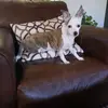 Barbara Owens - @barbara.owens6 - TikTok