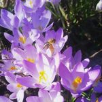 Barbara Pabst - @rhababerbarbara.64 - Instagram