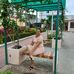Barbara Becilla - Facebook