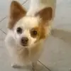 Barbara Paci - @barbarapaci - TikTok