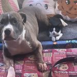 @barbara_pacificcat - Instagram