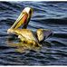 Santa Barbara Channel. Pacific Ocean - Facebook