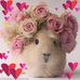 Barbara Pack - Facebook