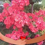 Barbara Pajda - Facebook