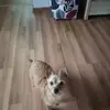 barbarapajdo - @barbarapajdo - TikTok
