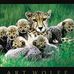 Barbara Paletta - Facebook