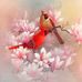 Barbara Paletta - Facebook