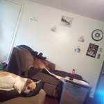 Barbara Pappas - @pappas4819 - Instagram