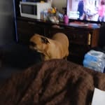 Barbara Pappas - @pappas5085 - Instagram
