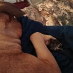 Barbara Pappas - @pappasbarbara25 - Instagram