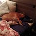 Barbara Pappas - Facebook