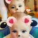 Barbara Pappas - Facebook