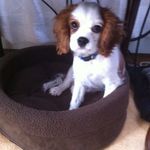 Barbara Patch - @pjpblw721 - Instagram